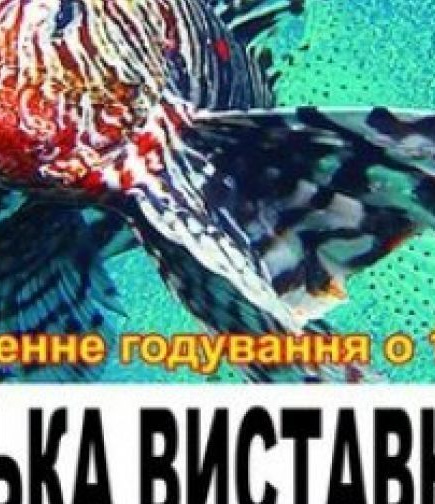 Киевская выставка рыб