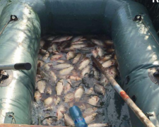 Жители Кривого Рога попались на незаконном вылове рыбы