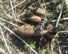 Под Кривым Рогом за три дня обнаружили 8 боеприпасов (ФОТО)