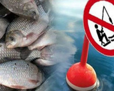 В Кривом Роге стартует запрет на вылов рыбы