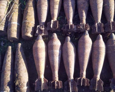 В Криворожском районе члены историко-поисковой группы обнаружили 26 боеприпасов (фото)