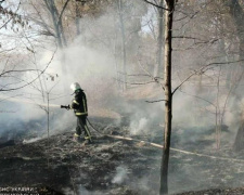 Майже півсотні пожеж ліквідували в екосистемах на Дніпропетровщині за минулу добу