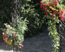 Аллея молодоженов и кованная беседка украсили ботанический сад в Кривом Роге (ФОТО, ВИДЕО)