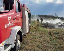Громади Дніпропетровщини палають: протягом доби надзвичайники понад 30 разів гасили пожежі в екосистемах