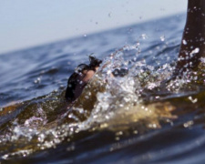 В одном из водоемов Кривого Рога утонул подросток