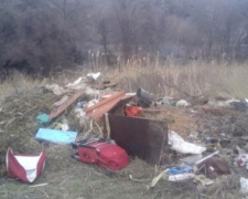 В Кривом Роге убрали мусорную свалку с территории геологического памятника (фото)