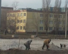 Жители Восточного-2 в Кривом Роге получат новую площадку для своих домашних питомцев (ФОТО)