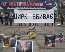 В Кривом Роге зоозащитники пикетировали цирк
