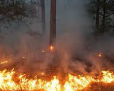 В Кривом Роге объявлена высокая пожарная опасность