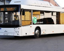 Миф или реальность: в Кривом Роге до конца года закупят 10 коммунальных автобусов