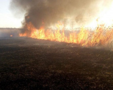 Пылающие сотки: за минувшую неделю спасатели Кривого Рога почти 30 раз тушили пожары в эко-системах города