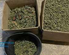 Травичка з доставкою: на Дніпропетровщині вилучили наркотики на 10 мільйонів гривень