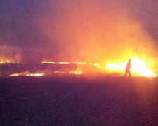 В Кривом Роге на территории больницы № 2 горела трава (ФОТО)