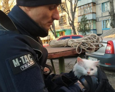 Операция &quot;КотЭ&quot;: в Кривом Роге спасли кота, который несколько дней посидел на крыше балкона