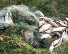 На Днепропетровщине за месяц выявлено более 340 нарушений и изъято более 300 килограмм рыбы (фото)