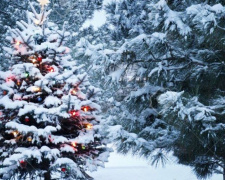 Погода в Кривом Роге в новогоднюю ночь: что обещают синоптики