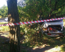 В Кривом Роге иномарка снесла дерево и перевернулась, водитель угодил в больницу 