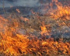 Жителей Кривого Рога предупреждают о высокой пожарной опасности