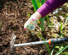 Весняні роботи на городі: з чого почати