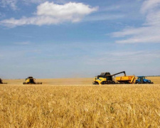 Південні регіони України вже зібрали понад 300 тис тонн хліба