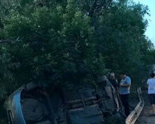 Житель Кривого Рога вместе с сыном перевернулся в автомобиле в Херсонской области