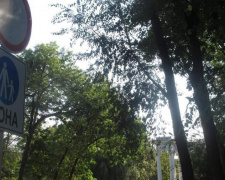 В парке Кривого Рога установили дорожные знаки (ФОТО)