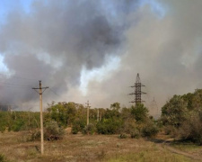 Жителей Кривого Рога призвали не сжигать сухую растительность, чтобы избежать пожара