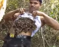 Ближе к телу: пасечник-экстремал горстями кладет пчел себе по майку (ФОТО+ВИДЕО)