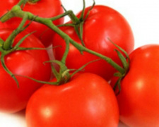 На Днепропетровщине обнаружили более 20 тонн зараженных помидоров