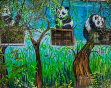 Милые панды и вопросы экологии: в Кривом Роге появился новый мурал (фото)