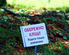 От укуса клещей по Днепропетровской с начала года пострадали больше тысячи жителей