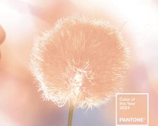 Головний колір 2024 року: інститут Pantone визначився з трендом
