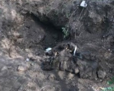 В Долгинцевском районе Кривого Рога нашли закопанный труп (ФОТО)
