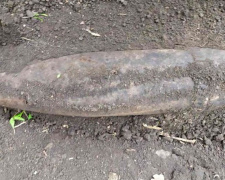 Прогулка с сюрпризом: недалеко от Кривого Рога женщина обнаружила боеприпас (фото)