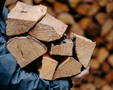 Понад тисяча родин Дніпропетровщини отримала безкоштовні дрова: хто надав допомогу