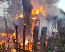 У Кривому Розі сталася пожежа: вогонь пошкодив господарчу споруду