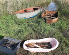 У Криворізькому районі поліція затримала чоловіка за незаконний вилов близько 50 кг риби: подробиці
