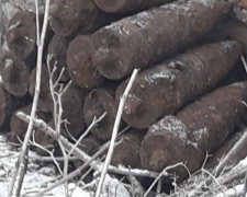 Под Кривым Рогом спасатели обезвредили 21 артиллерийский снаряд (фото)