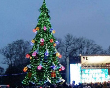 Главная елка Кривого Рога зажглась! – что предлагают тут горожанам на зимних праздниках (фото)