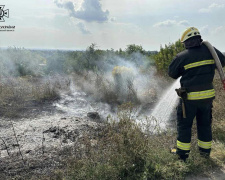 На Дніпропетровщині протягом доби вогнеборці ліквідували 34 пожежі в екосистемах