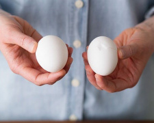 Як вибрати якісні яйця в магазині: на що слід звернути увагу при покупці