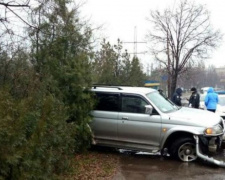 В Кривом Роге джип вылетел с дороги и снёс дерево, есть пострадавшие (ФОТО)