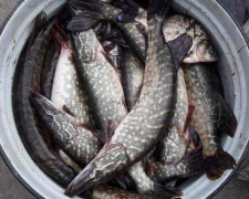 Порыбачили: в Кривом Роге двое мужчин попались на незаконном вылове рыбы