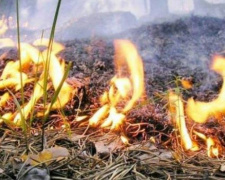 В Днепропетровской области объявлена чрезвычайная пожарная опасность