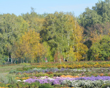 Фото: Криворізький ботанічний сад