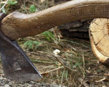 Жители Кривого Рога могут контролировать вырубку деревьев онлайн