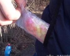 В Кривом Роге задержали 24-летнего жителя с 115 трубочками метамфетамина (фото)