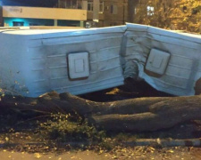 ДТП в Кривом Роге: микроавтобус вылетел на тротуар и врезался в дерево (ФОТО)