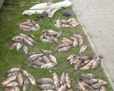 Незаконна риболовля: на Криворіжжі у браконьєра вилучили близько 130 риб