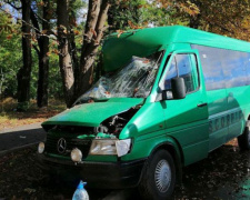 В аварии с маршруткой в Кривом Роге пострадали 11 человек (ФОТО)
